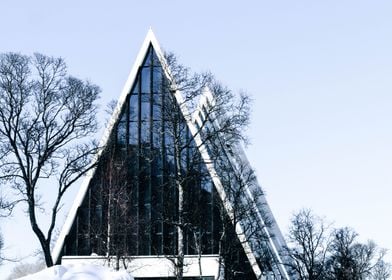 The Arctic Cathedral 