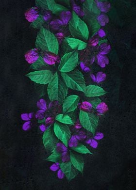 Purple flowers and leaves 