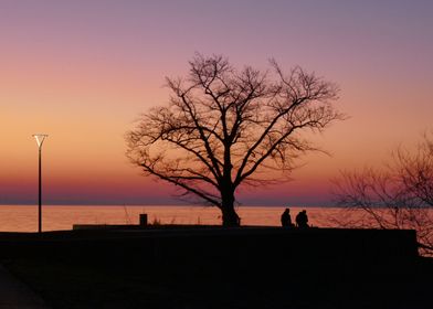 photo sunset love tree 2