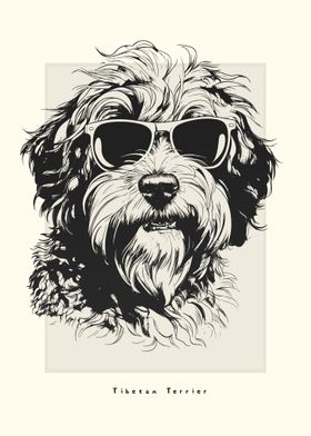 Tibetan Terrier Sketch