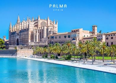 Palma  