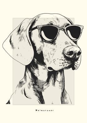 Weimaraner Illustration