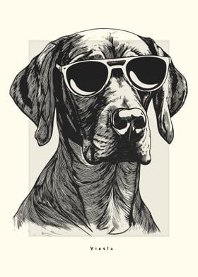 Vizsla Illustration