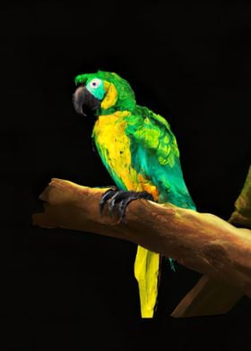 Parrot on a Tree