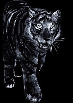 Black Tiger Cat