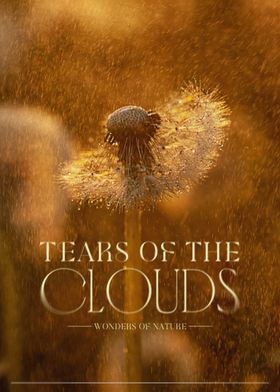 TEARS OF THE CLOUDS