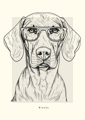 Vizsla Illustration