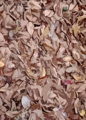 Fallen Leaves