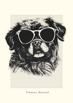 Tibetan Spaniel Sketch