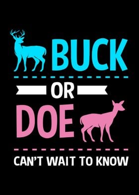 Buck Or Doe