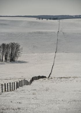 snowy fence line