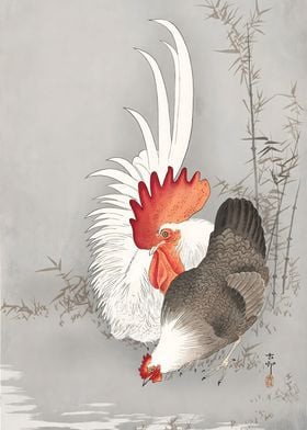 Rooster and Hen