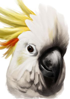 Head of a Cockatoo