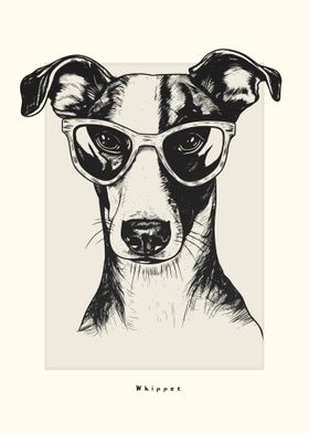 Whippet Illustration