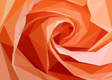 Abstract Rose Close Up
