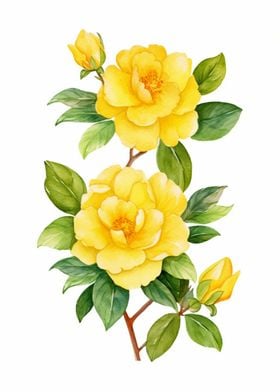 Yellow Camellias