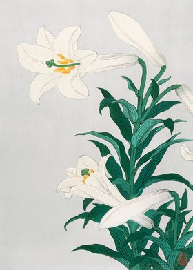 Lilies Ohara Koson