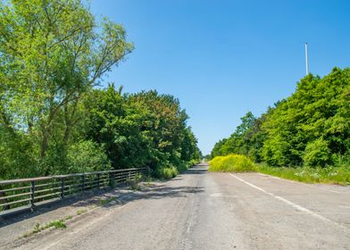 Highway bridge and green