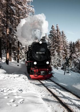 orange and black train