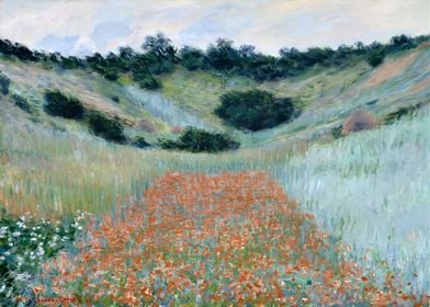 Poppy Field in a Hollow