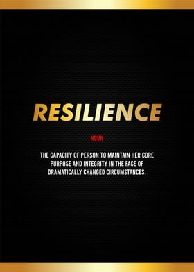 resilience definition