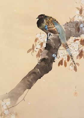 Ukiyo e Pheasant on branch