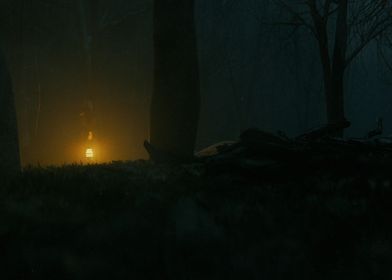 Misty Forest Scene 3 3D