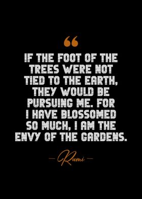 Rumi 