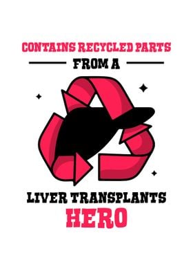 Liver Transplant Survivor