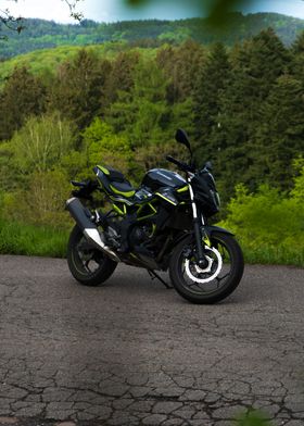 Kawasaki z125