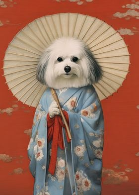 Havanese Geisha 