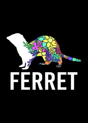 Ferret Animal