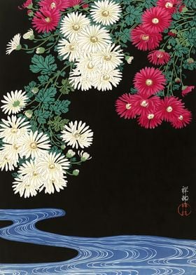 Ukiyo e Chrysanthemums