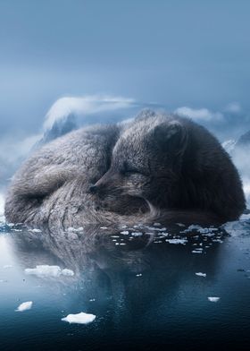 Frozen Slumber