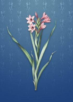 Sword Lily on Bahama Blue