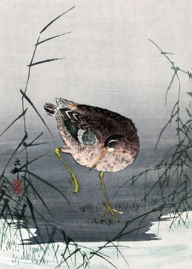 Ukiyo e  Ashi ni shigi