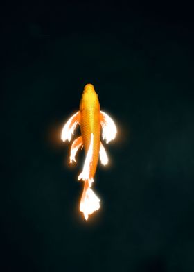 Glowing Koi Fish Dark Pond