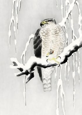 Ukiyo e Hawk with captured