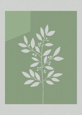 Minimal decorative plant