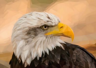 Low Poly Eagle