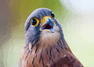 Low Poly Falcon