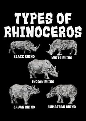 Types Of Rhinoceros