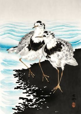 Ukiyo e coot sandpipers