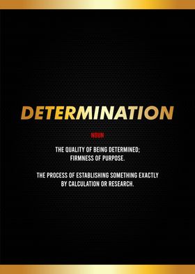 determination  definition