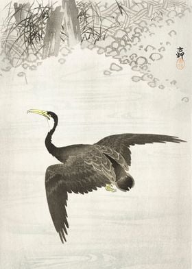 Ukiyo e Cormorant