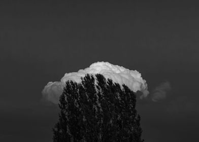 Tree and a Cloud