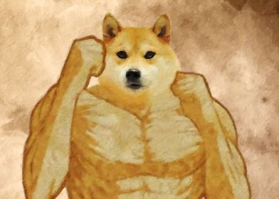 Doge meme