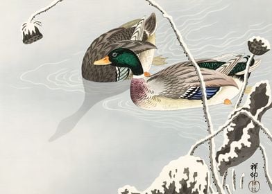 Ukiyo e Two Mallards