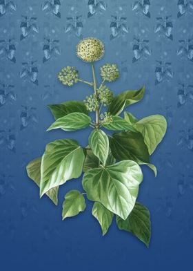 Common Ivy on Bahama Blue