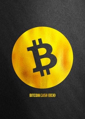 BCH Coin